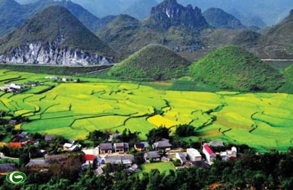 ដំបន់ខ្ពង់រាបថ្ម Dong Van ទាក់ទាញភ្ញៀវទេសចរណ៍ក្នុងប្រទេសនិងអន្តរជាតិ